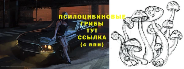 эйфоретик Армянск