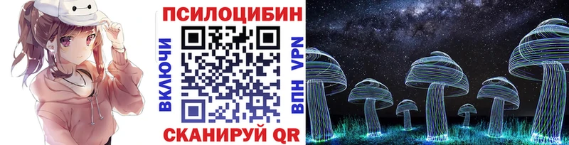 Псилоцибиновые грибы Psilocybe  Сальск 